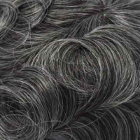 #1B 50% Canas