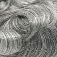 #1B 80% Canas