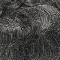 #2ASH 40% Canas