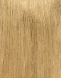 Dark wheat Blonde