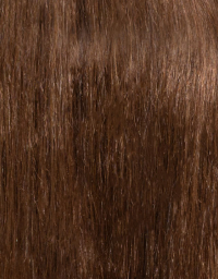 Dark Auburn